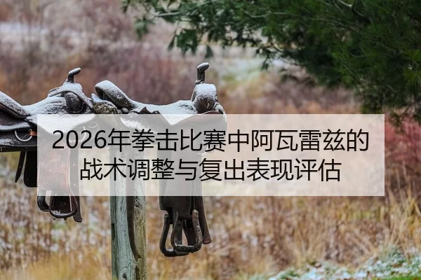 2026年拳击比赛中阿瓦雷兹的战术调整与复出表现评估