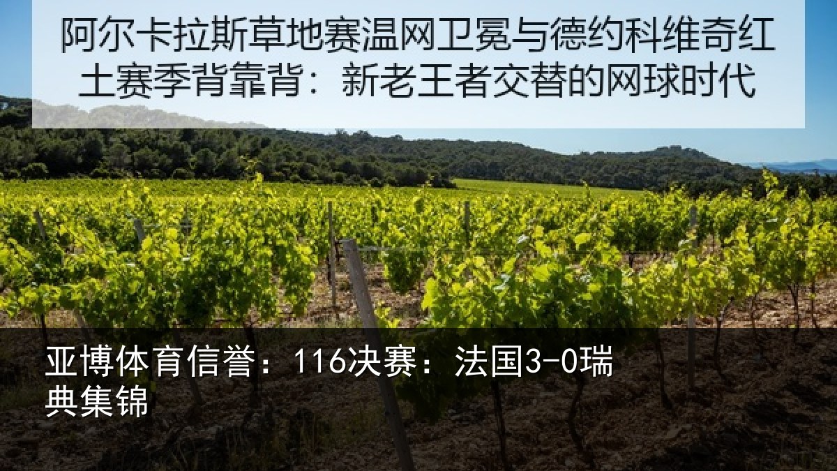 亚博体育信誉：116决赛：法国3-0瑞典集锦