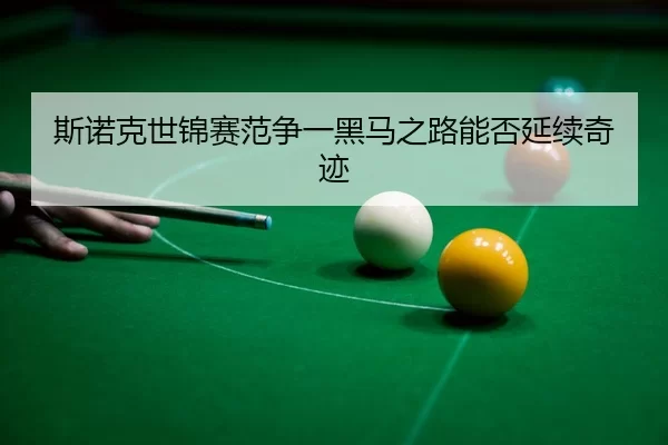 si-nuo-ke-shi-jin-sai-fan-zheng-yi-hei-ma-zhi-lu-neng-fou-yan-xu-qi-ji-3-631.jpg