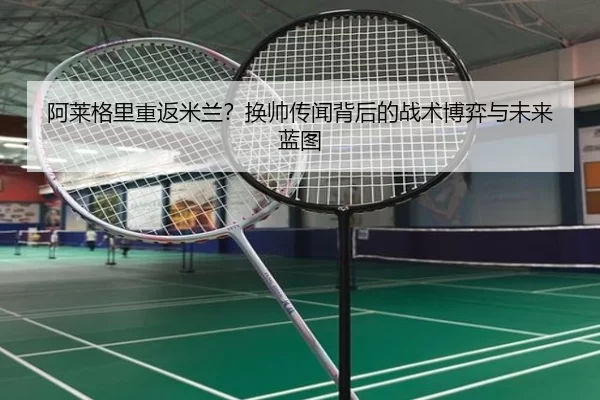 a-lai-ge-li-chong-fan-mi-lan-huan-shuai-chuan-wen-bei-hou-de-zhan-shu-bo-yi-yu-wei-lai-lan-tu-2-534.jpg