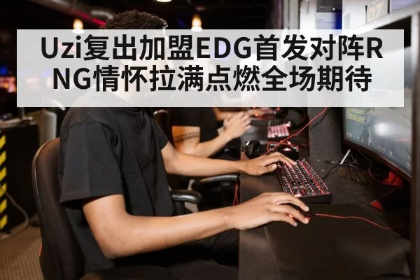 gamer playing computer